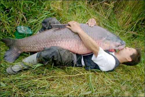 Funny_fish_Pictures_17