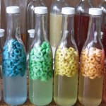 fruit-loops-infused-vodka-cover